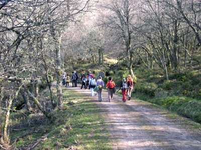 Bidueiral Montederramo