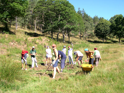 Grupo de voluntarios