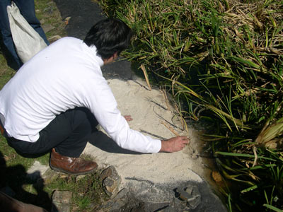 estabilizacion
